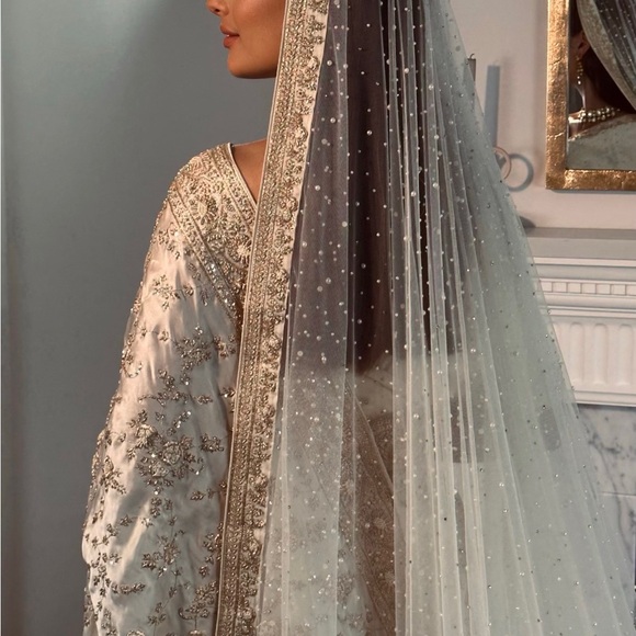 Art of Liza Ivory Bridal Sari with Veil & Readymade blouse - Picture 10 of 12